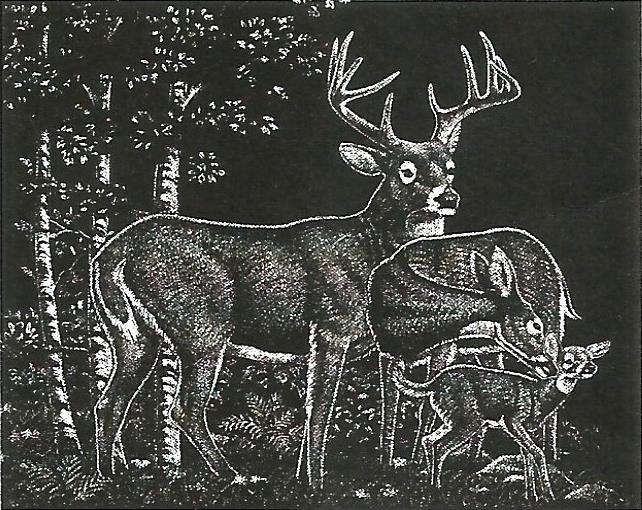 a black and white drawing of two deer standing next to each other