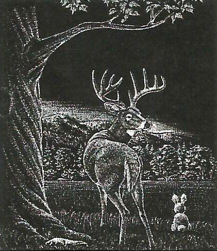 a black and white drawing of a deer and a rabbit