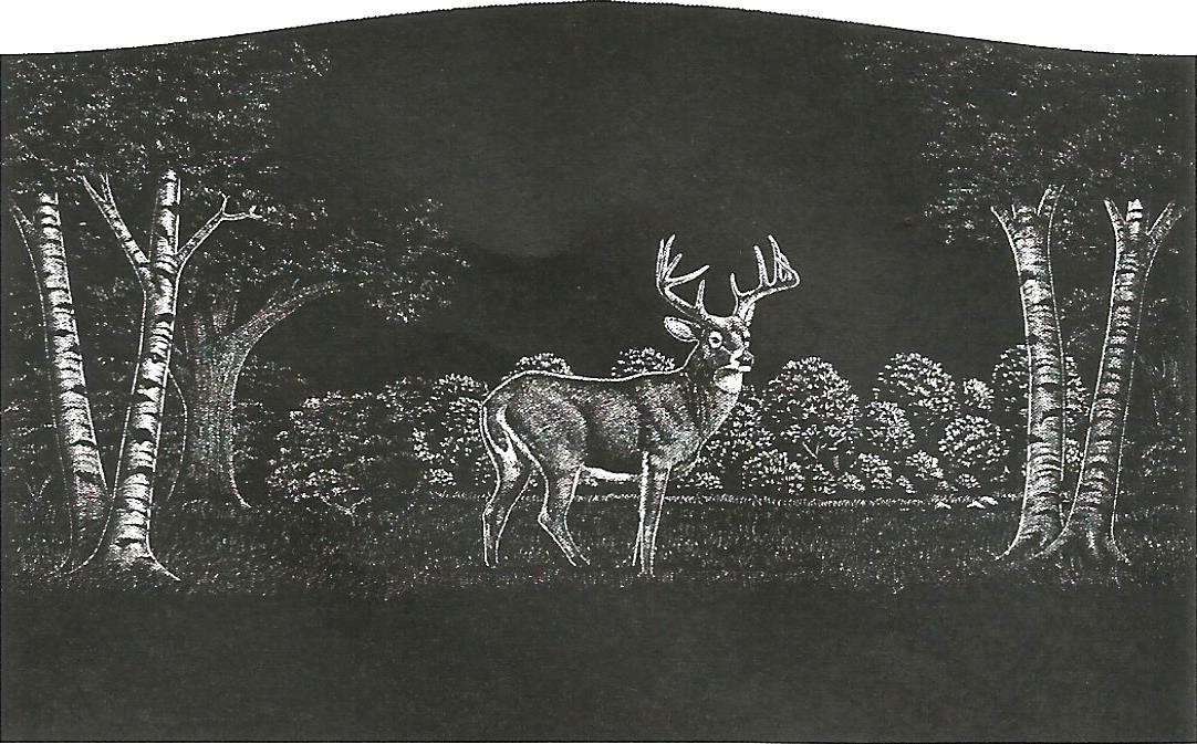 a black and white drawing of two deer in a forest