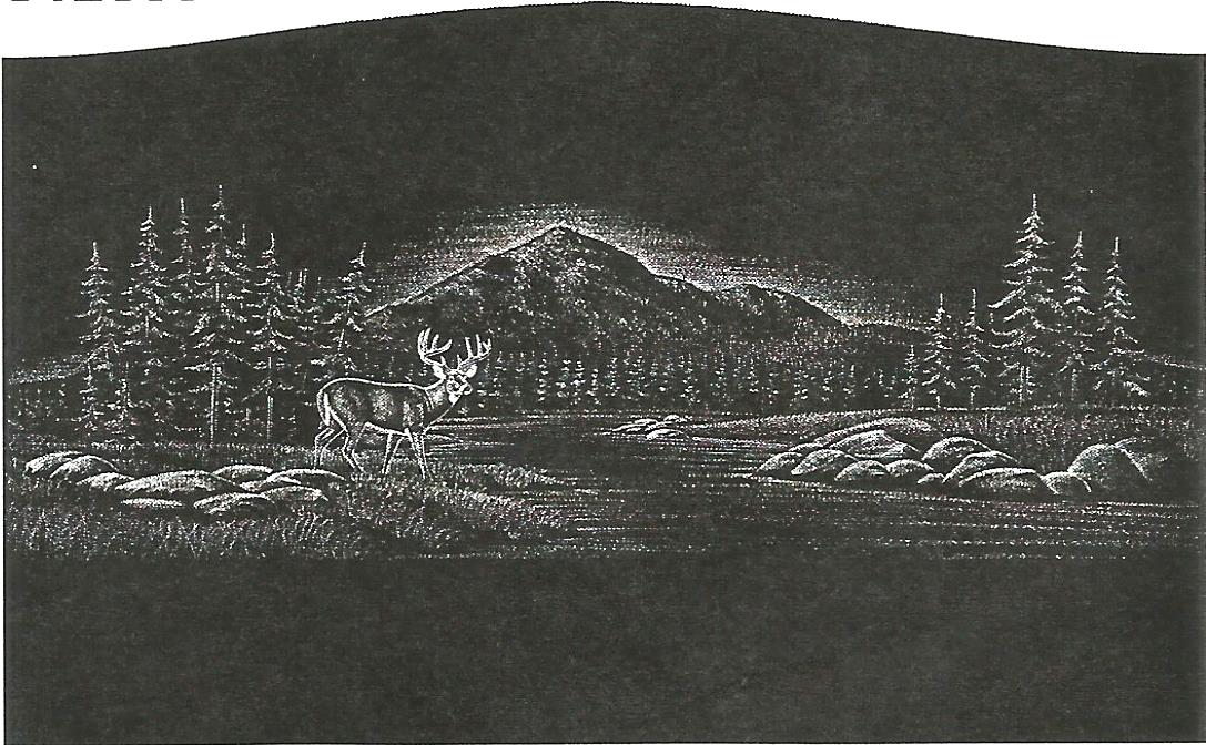 a black and white drawing of a mountain and trees
