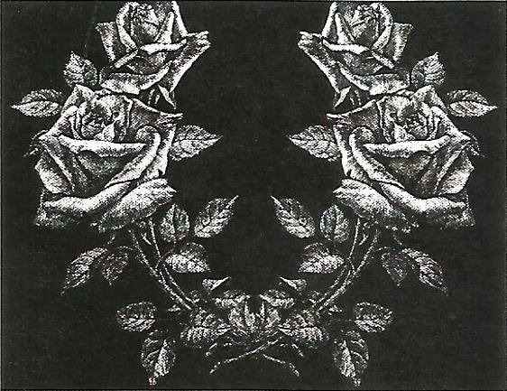 a black and white photo of two roses on a black background