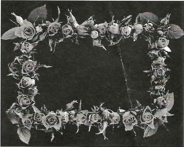 a black and white photo of roses and leaves on a black background