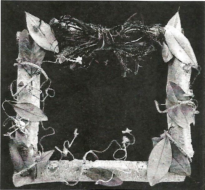 a picture frame made of branches and leaves on a black background
