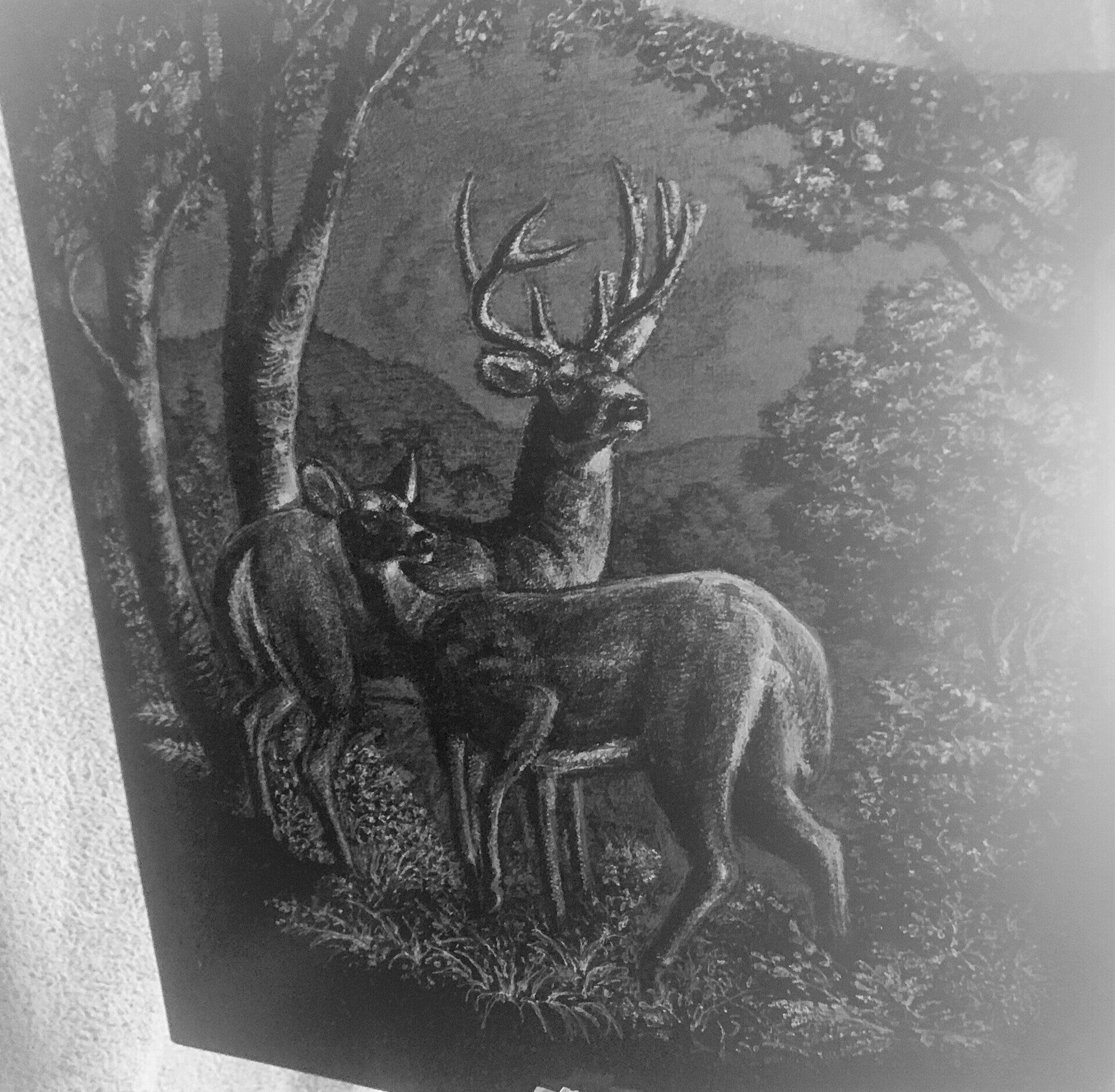 hand etched design on black granite