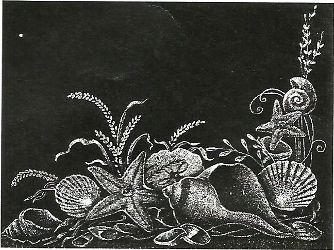 a black and white drawing of seashells and plants