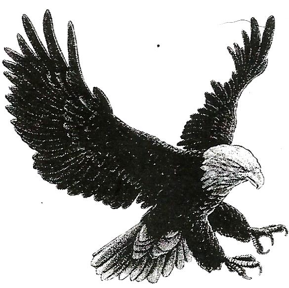 a black and white drawing of an eagle with its wings spread