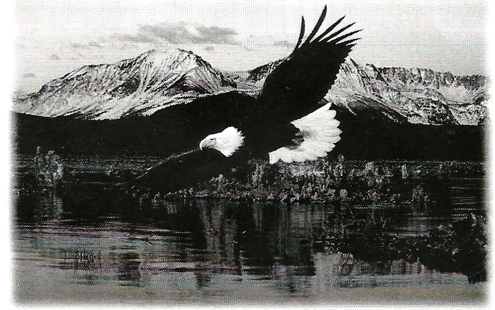 a bald eagle is flying over a lake with mountains in the background