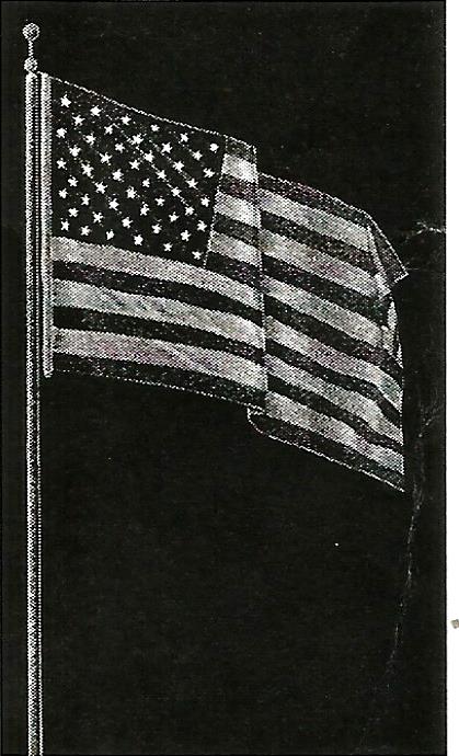 a black and white photo of an american flag on a pole