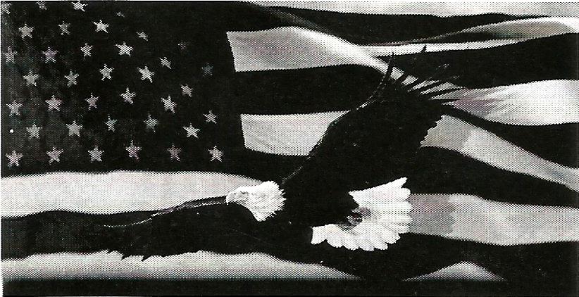 a bald eagle is flying in front of an american flag