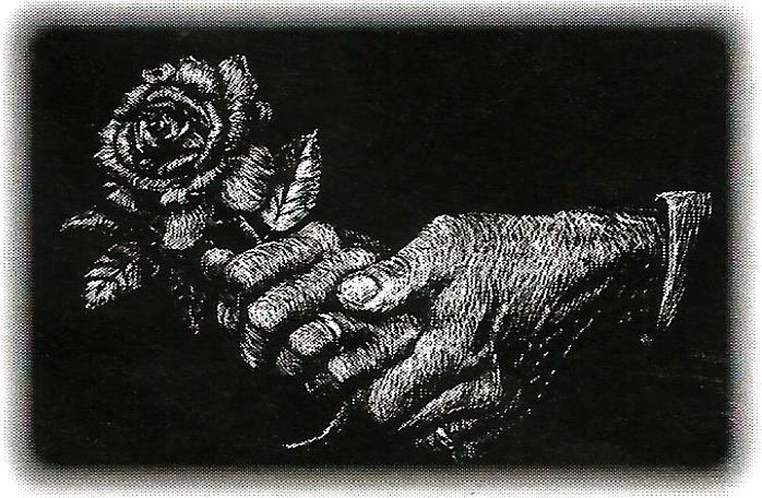a black and white drawing of a hand holding a rose .