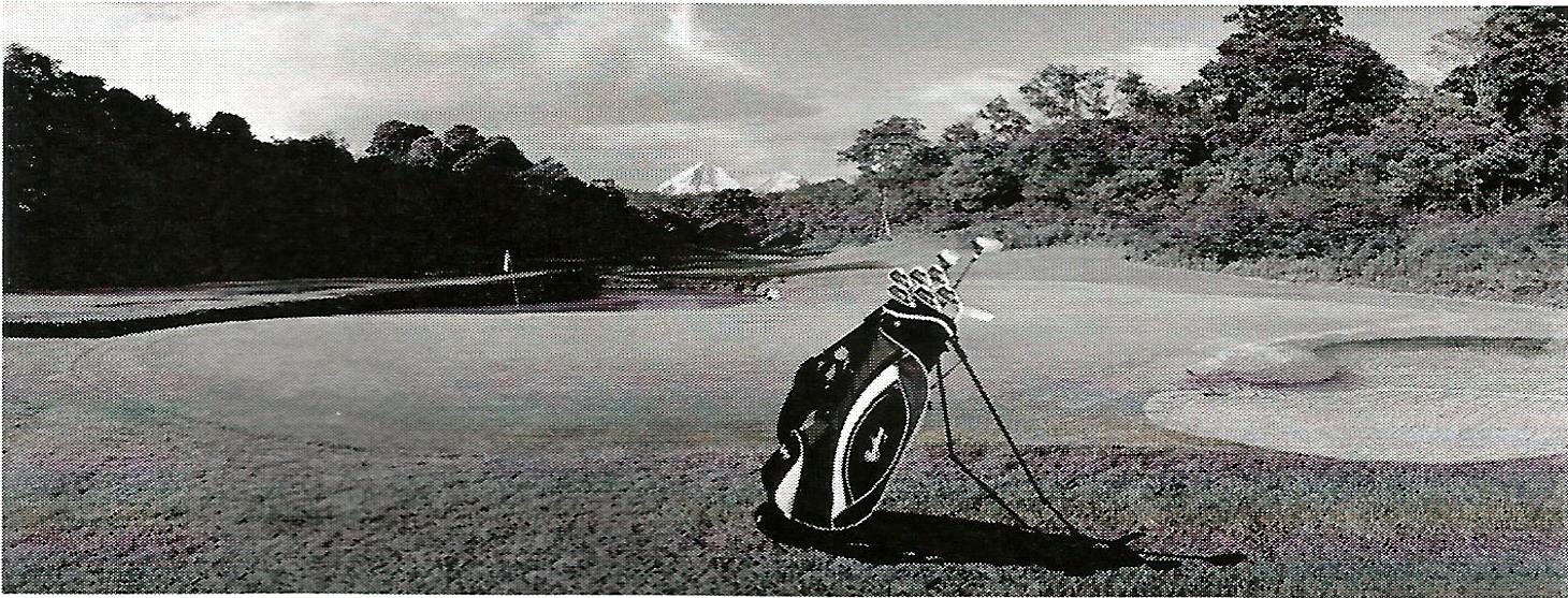 a black and white photo of a person carrying a golf bag on a golf course .