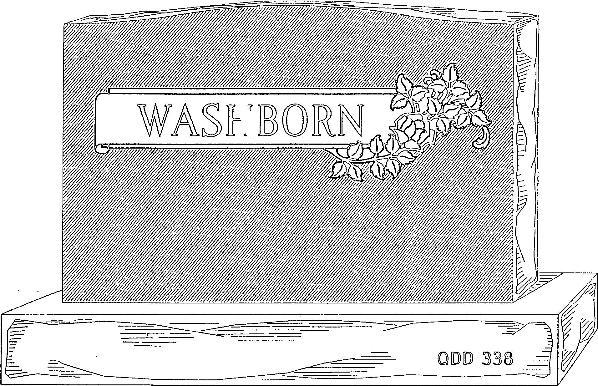 a black and white drawing of a box with the word wash born on it .