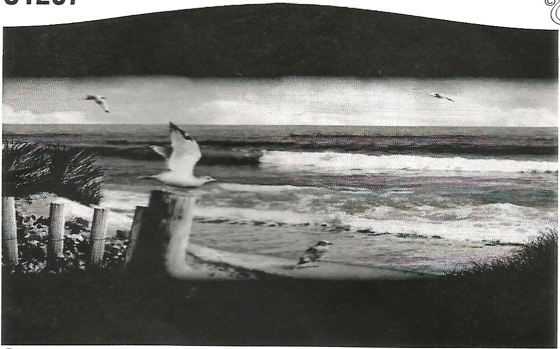 a black and white photo of a seagull flying over a body of water .