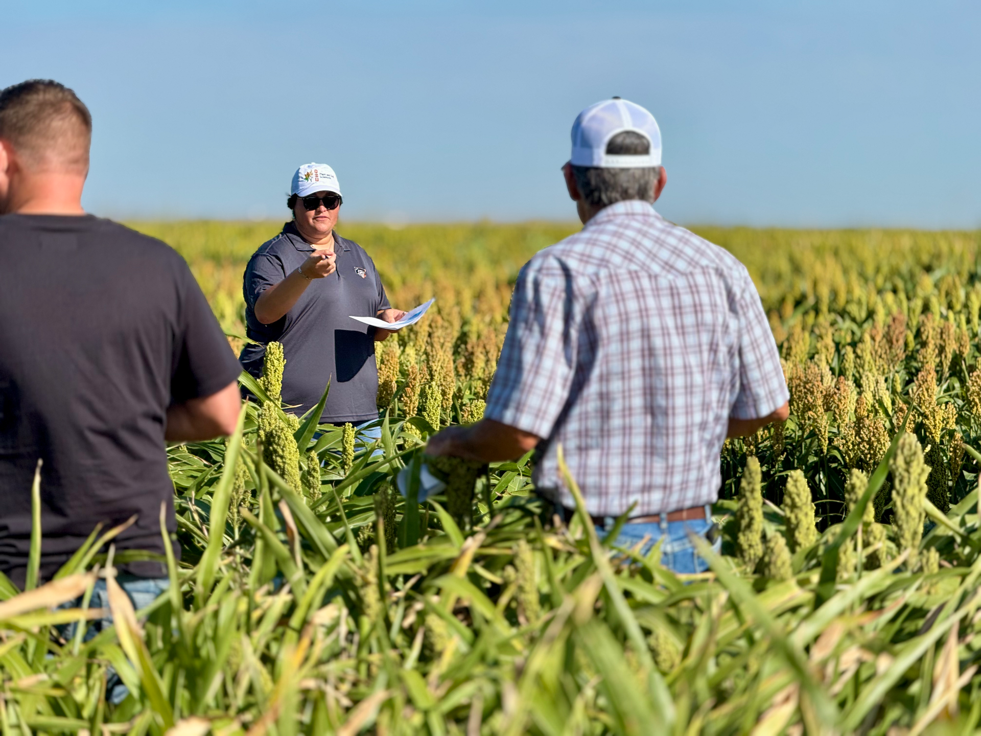 Three men are standing in a field with one wearing a hat with the letter h on it