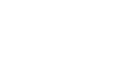 Wingspan Logo