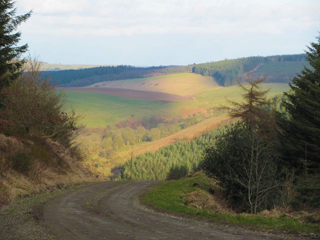 A spectacular rural railway between Swansea and Shrewsbury.