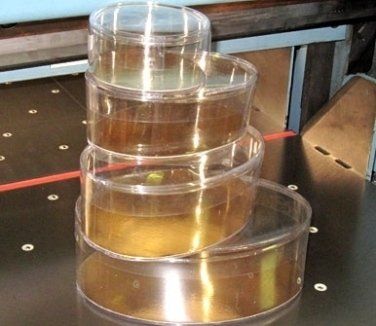 cilindri trasparenti; cilindri trasparenti;