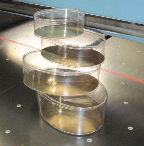 barattoli trasparenti