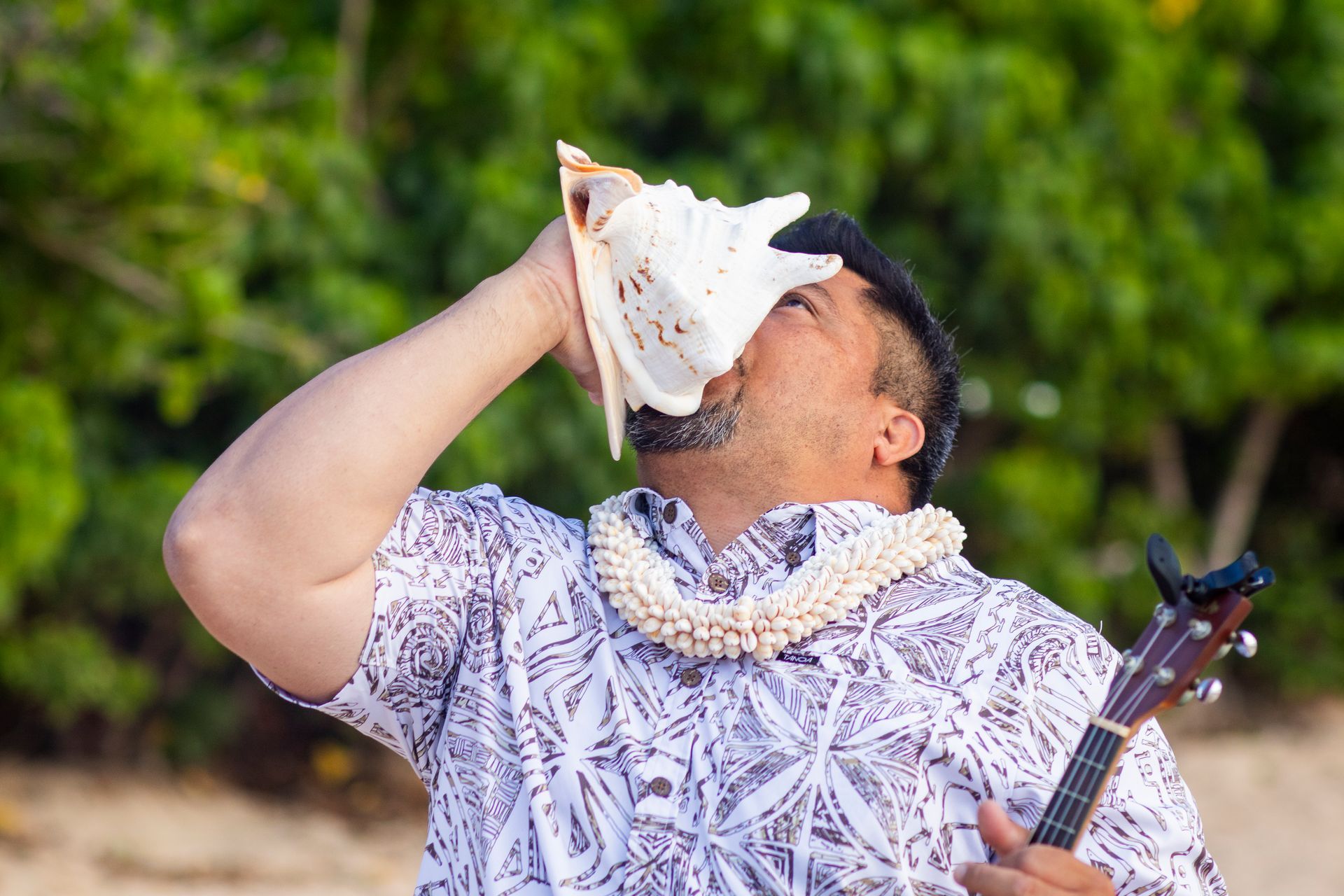 Man blowing a conch shell on a beach, wearing a lei and ukulele.