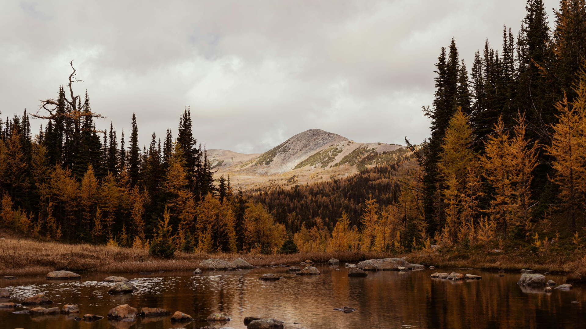 Autumn landscape: lake reflecting mountains, surrounded by golden trees under cloudy sky.