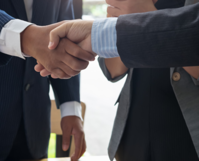 Business Tax Strategist