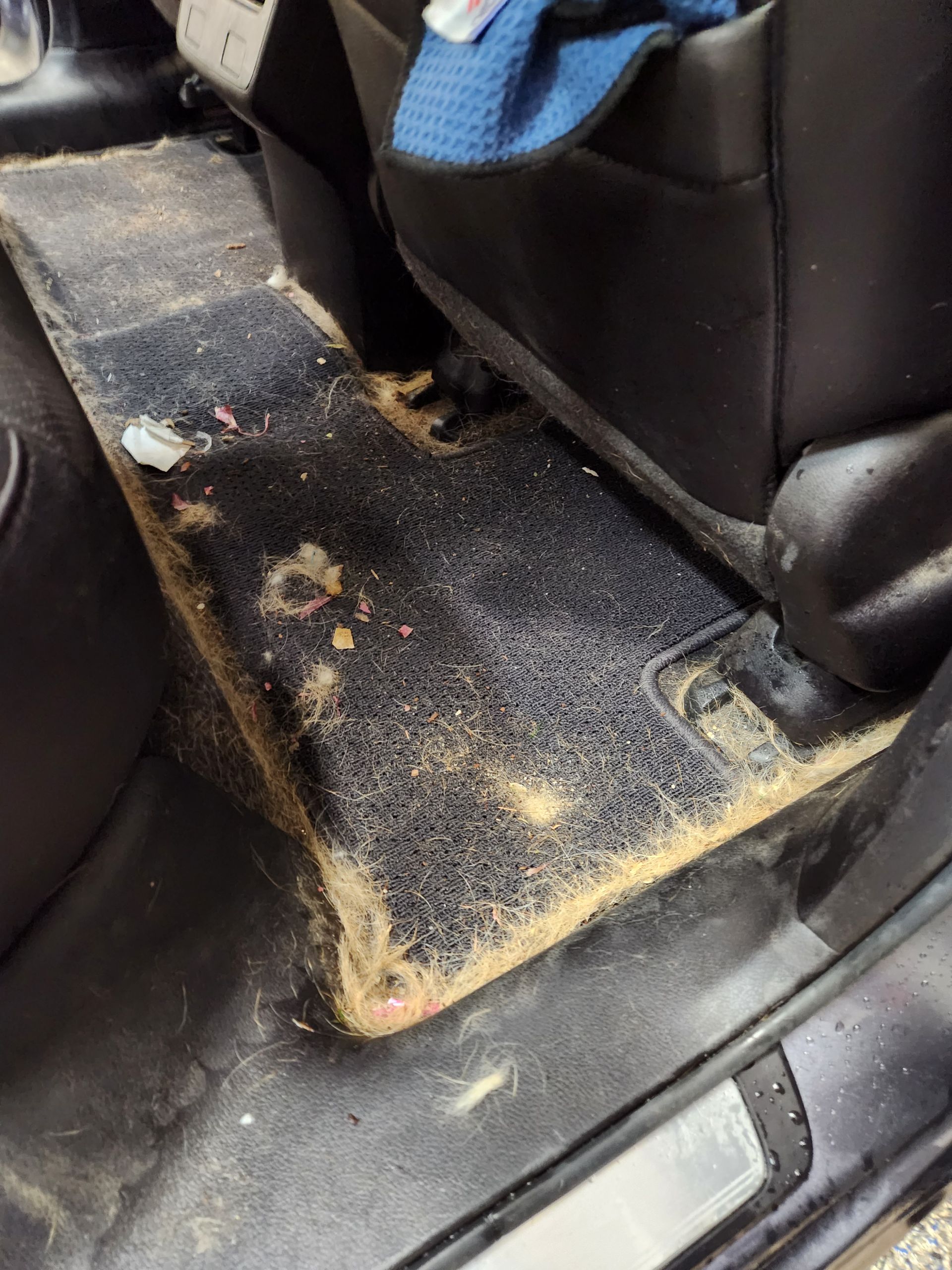 The floor of a car is covered in dust and dirt.