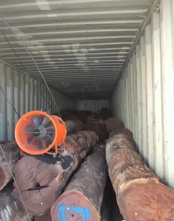Fumigation-logs-inside-container