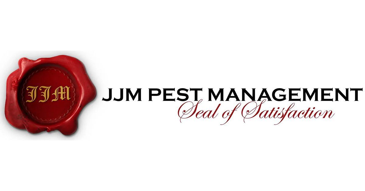 Pest Control & Termite Inspection Services in Townsville Near Me