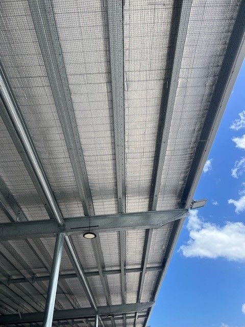 Can bird proofing help your business?