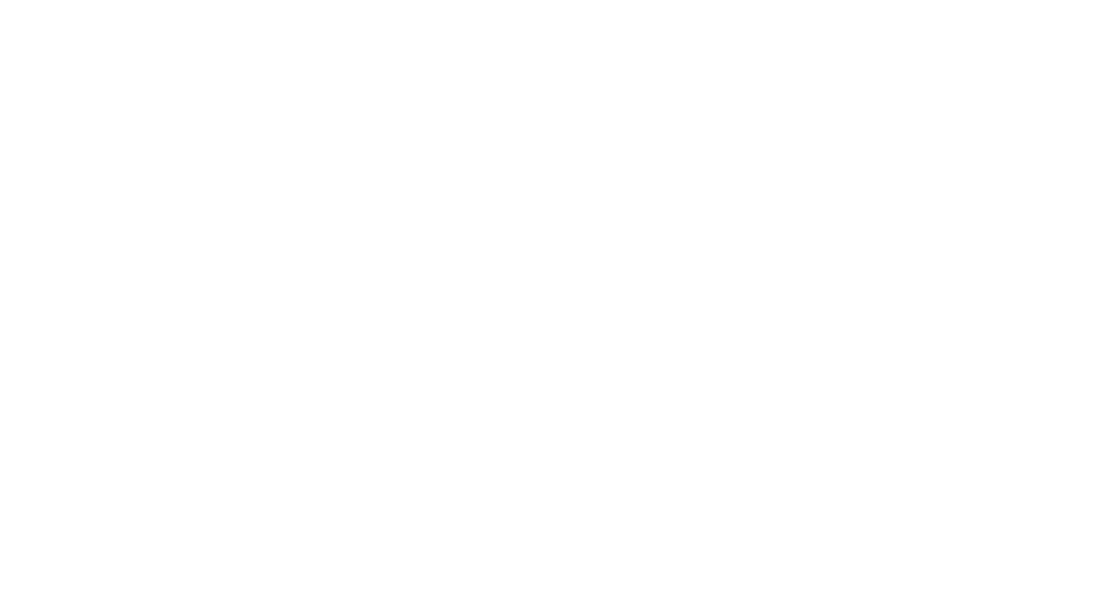 Scranton Area Community Foundation Logo