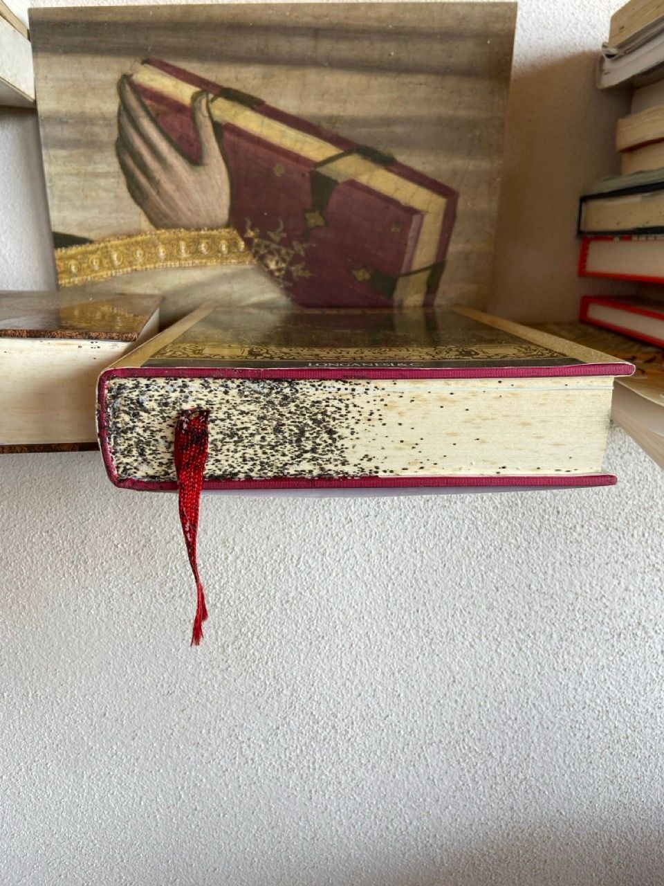 infestazione cimici dei letti