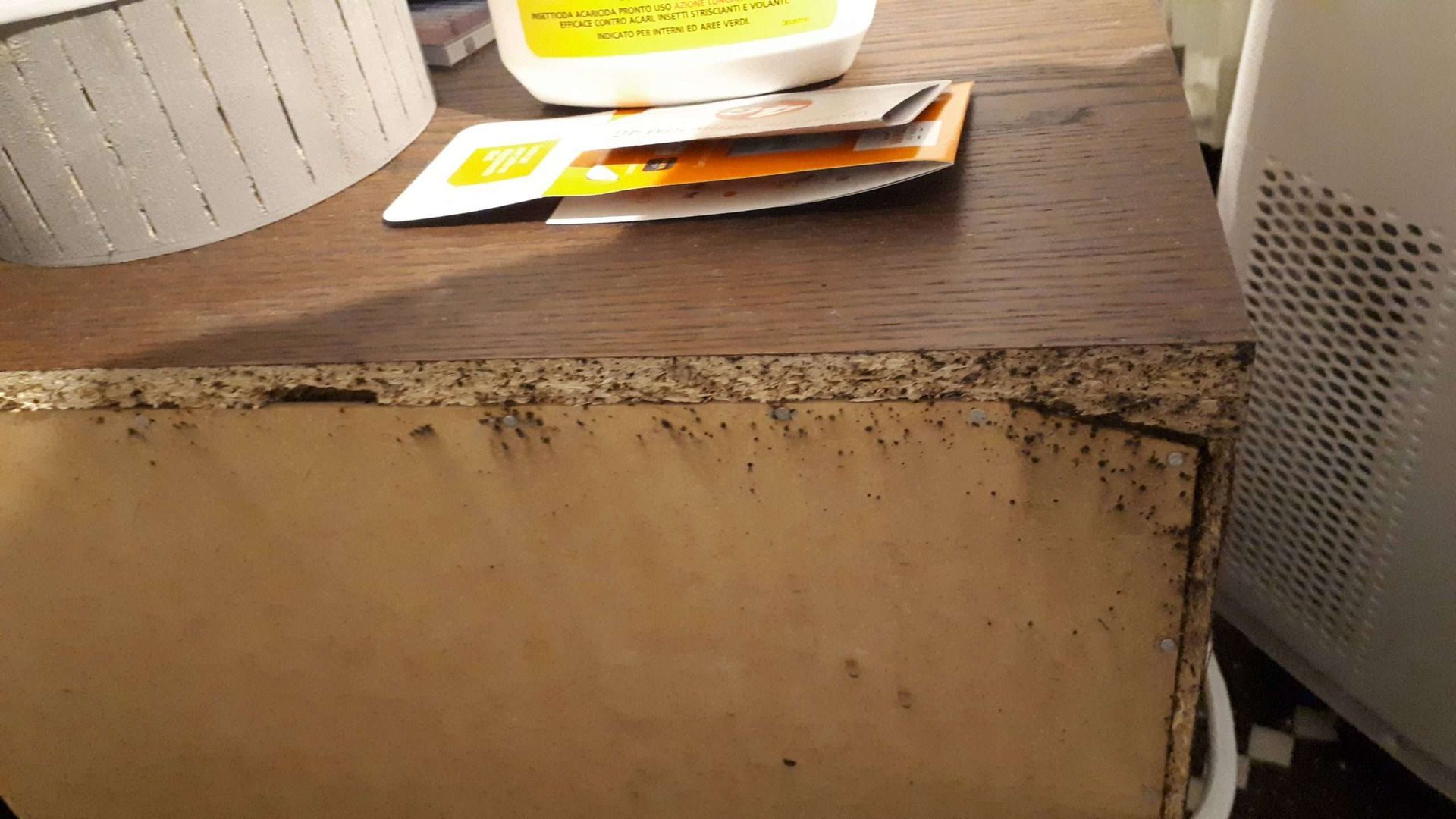 segni infestazione cimici dei letti