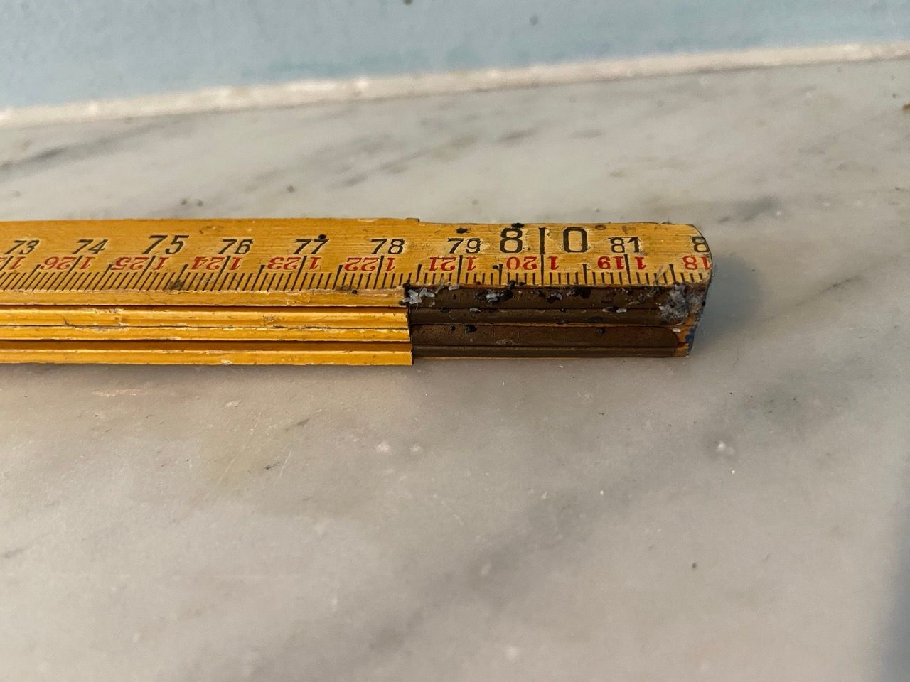 uova cimici dei letti