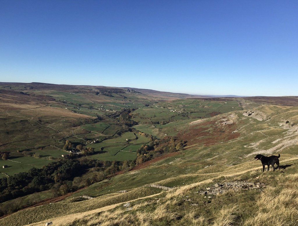 Reeth Holiday Cottages, Local Attractions
