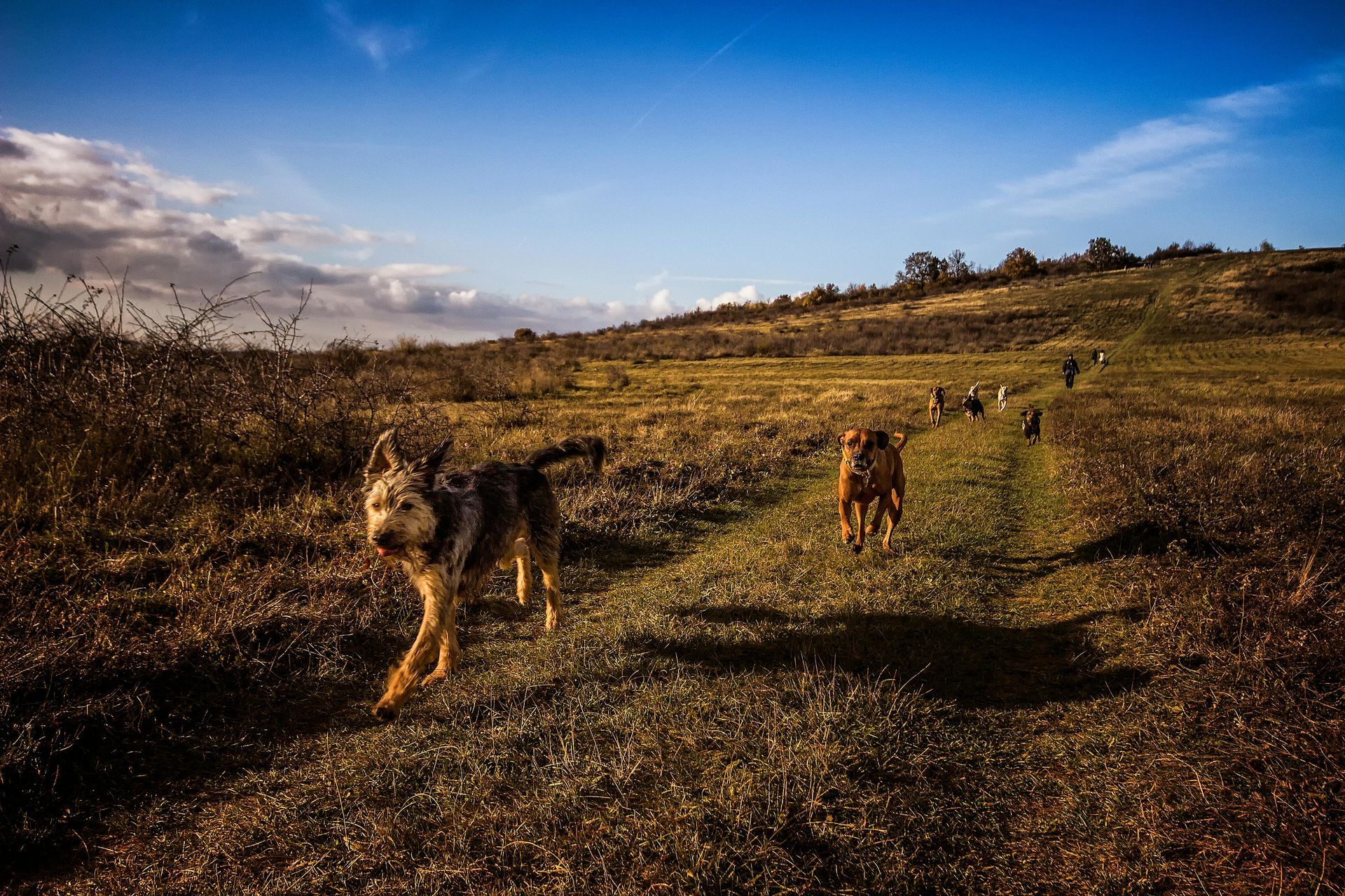 Reeth Holiday Cottages Accommodation