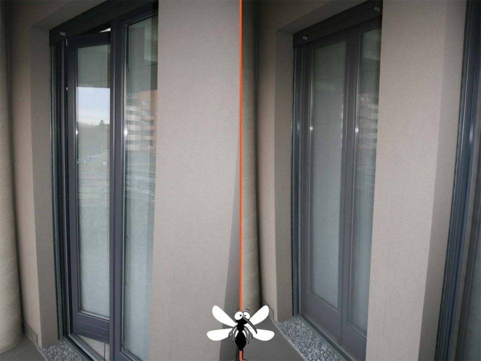 Una libellula è in piedi davanti a una porta scorrevole in vetro.