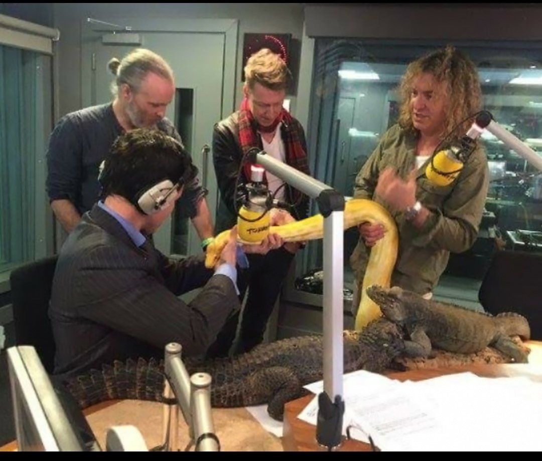 Anton Savage and Travis (band) meet my brian  (python) Phylis (iguana) and Kevin (crocodile)