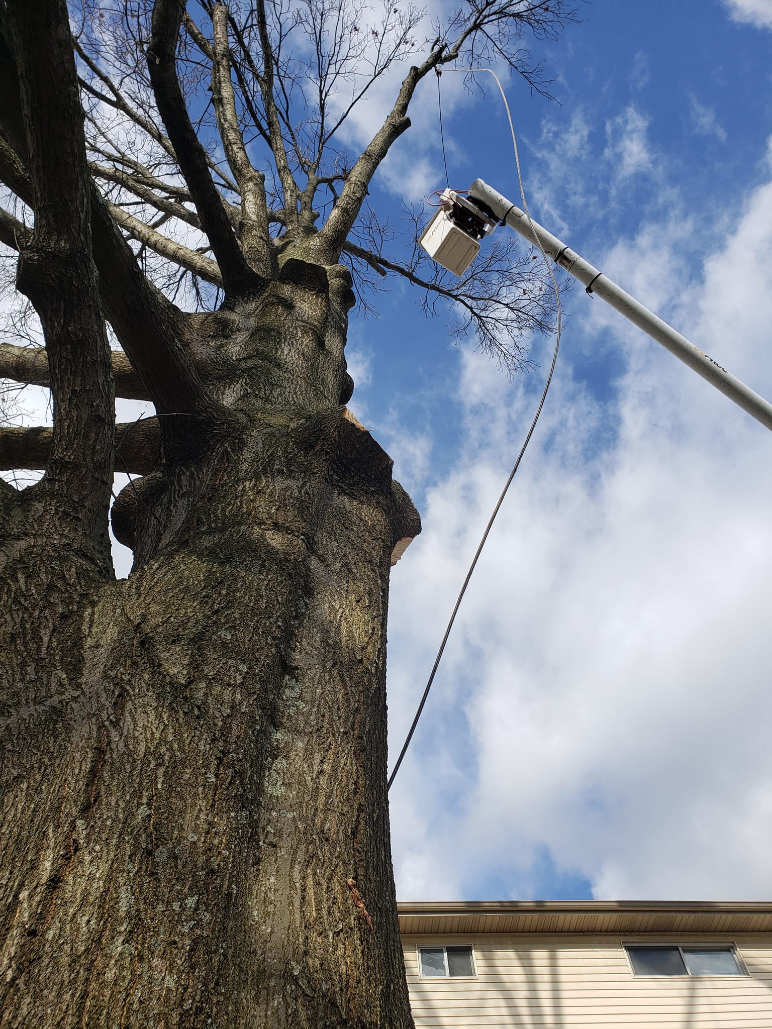 Man On A Crane — Middletown, OH — B & G Tree Service