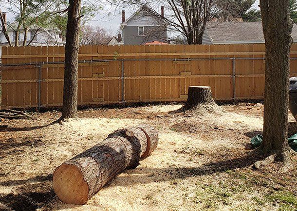 Tree Stump — Middletown, OH — B & G Tree Service