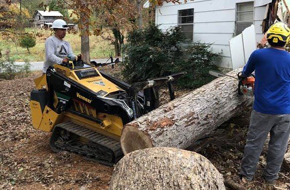 Man On Vehicle Removing Stump — Middletown, OH — B & G Tree Service