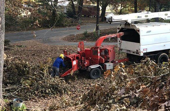 Men Clearing Tree Debris — Middletown, OH — B & G Tree Service