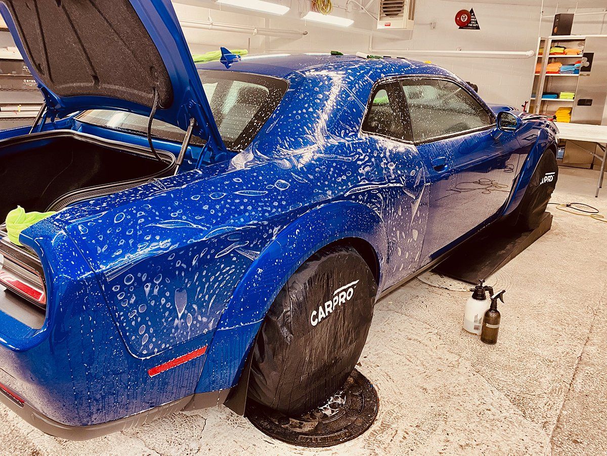 Paint Protective film example