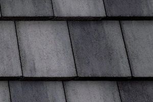 A row of slate tiles on a roof.