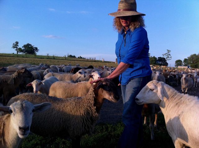 Four Hills Farm photo 21