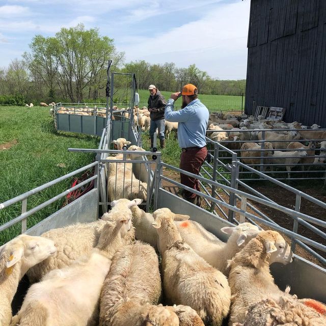 Four Hills Farm photo 25