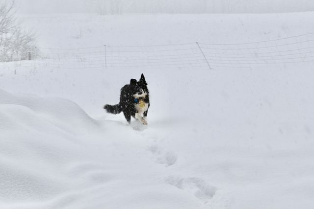 Four Hills Farm photo 18