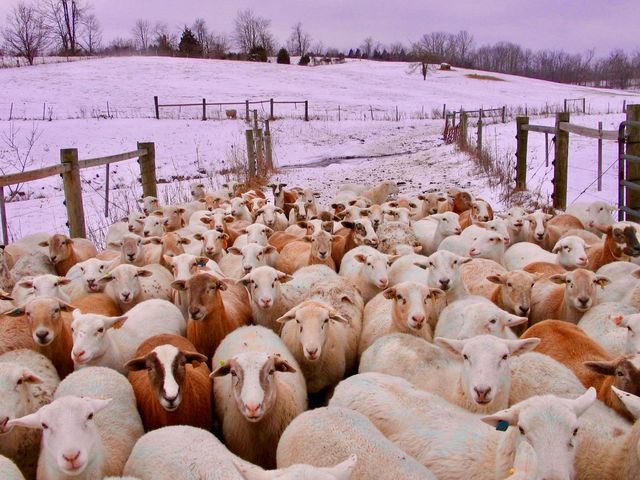 Four Hills Farm photo 24