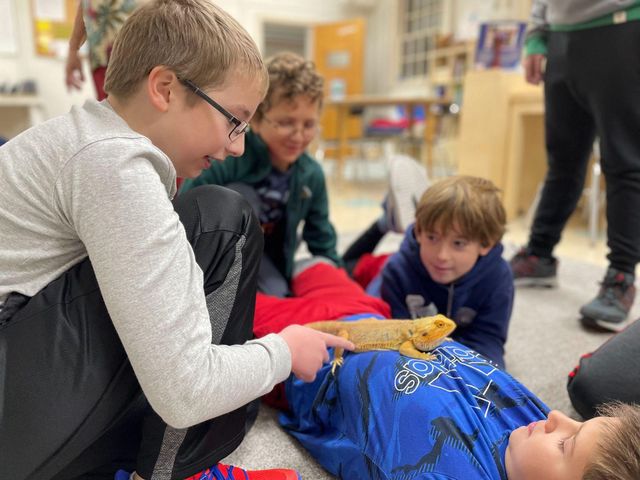 Trays and Containers - Inspired Montessori Learning