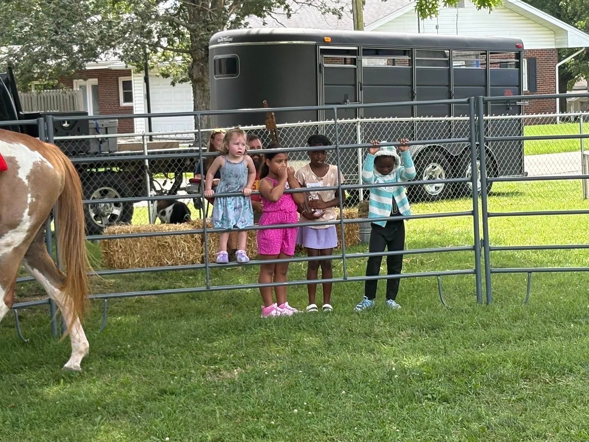 A group of children are standing behind a fence watching a horse.