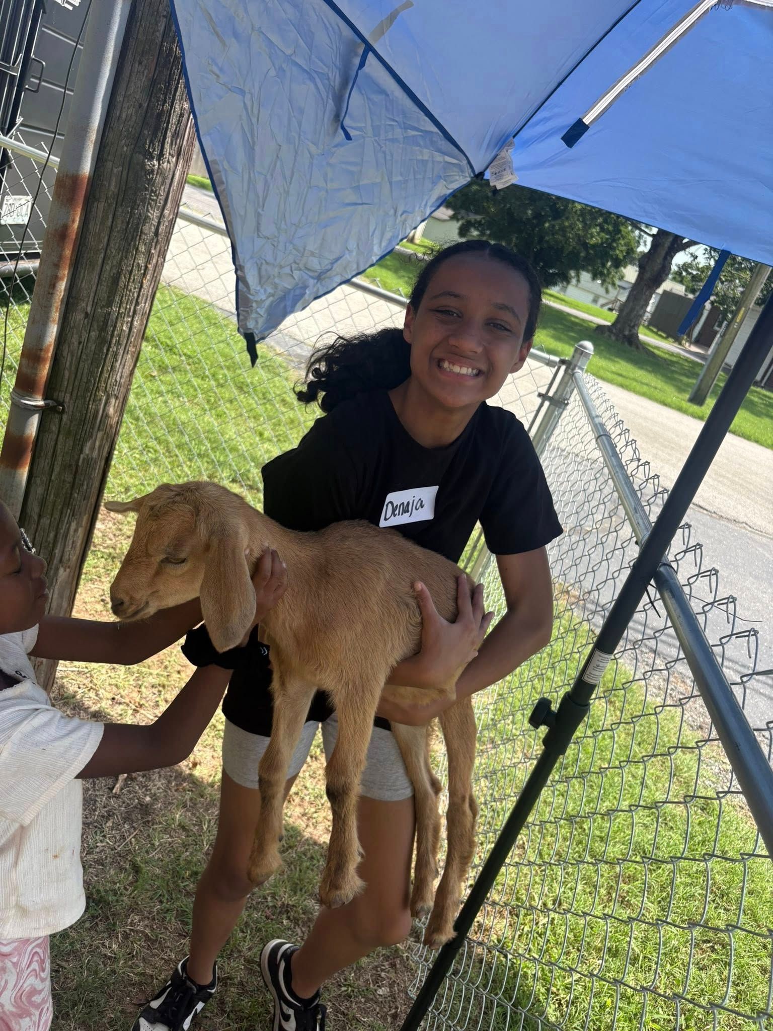A girl is holding a baby goat under an umbrella.